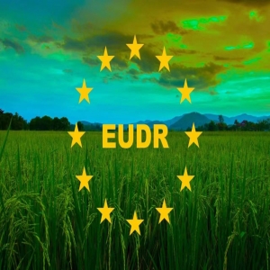 企航顧問(wèn)EUDR歐盟零毀林法案服務(wù)介紹